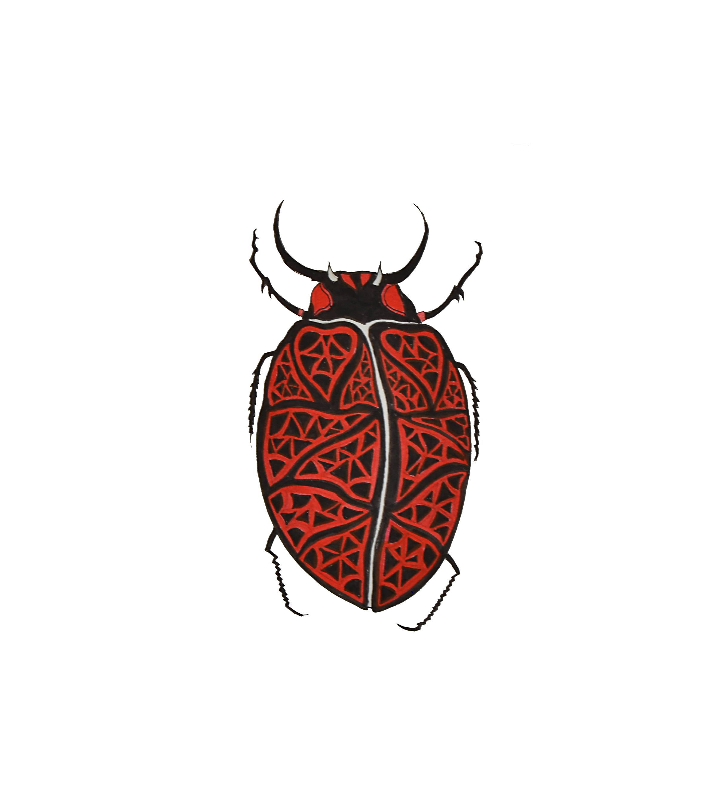 Bug 6 no background.png