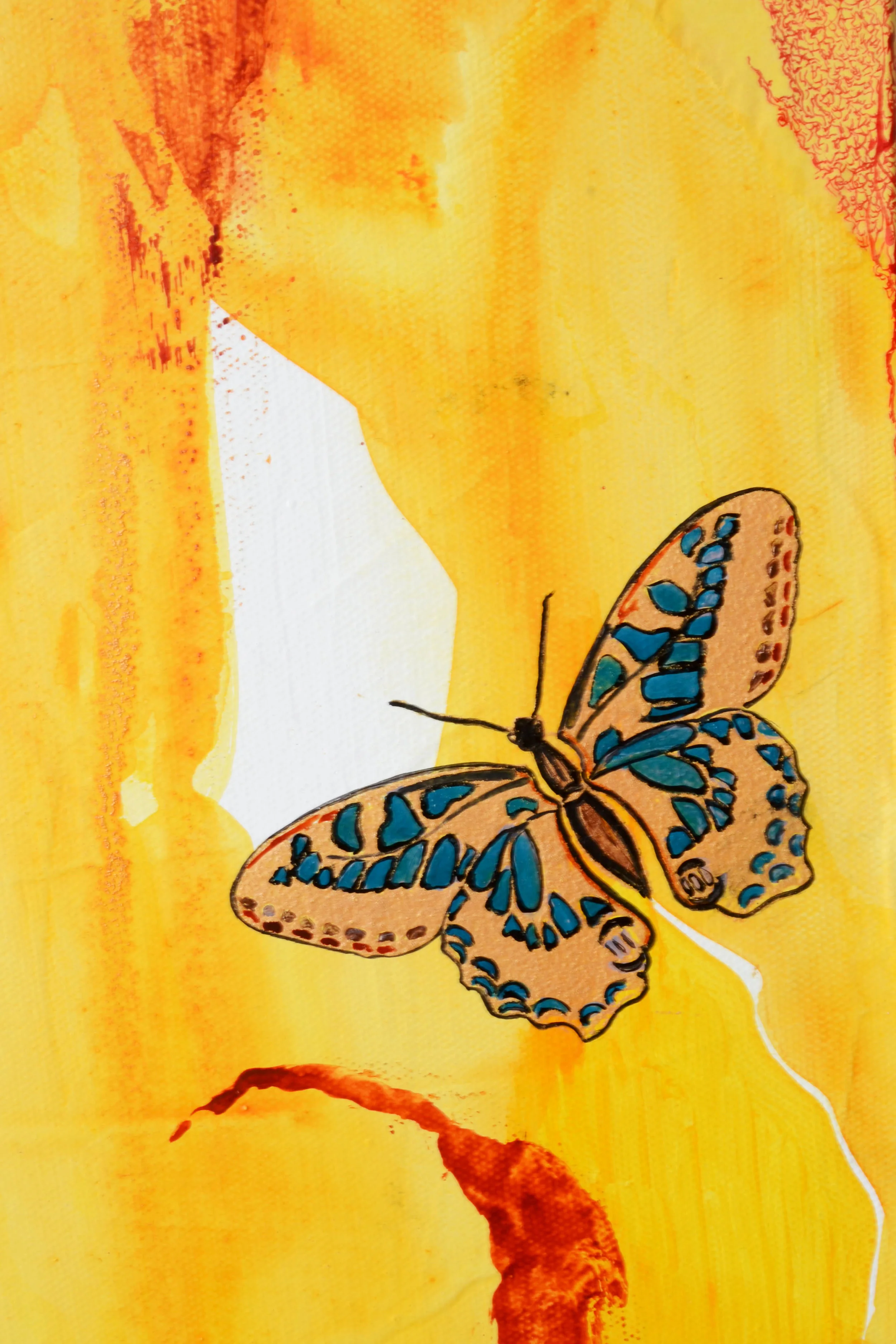 butterfly 