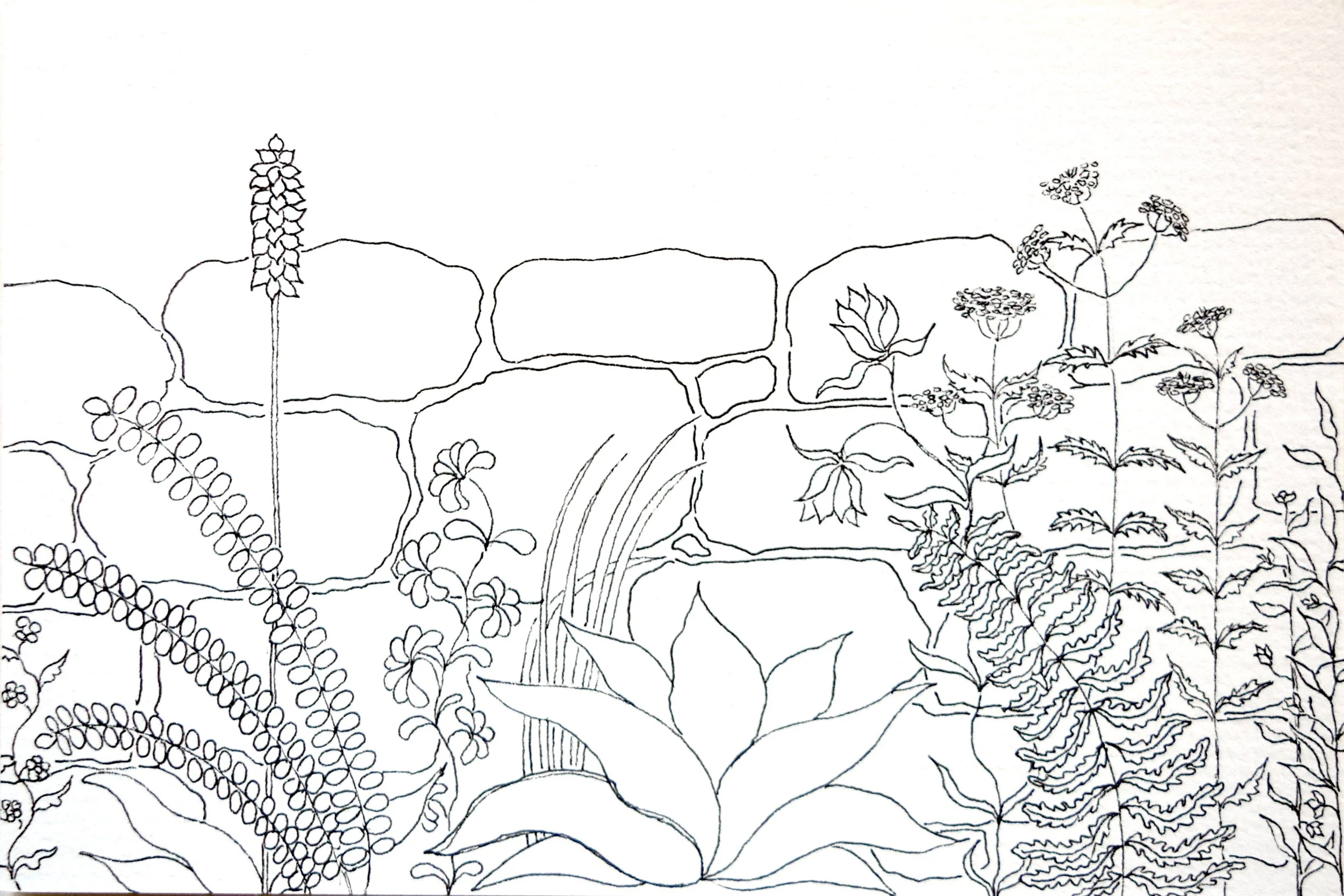 Garden Wall