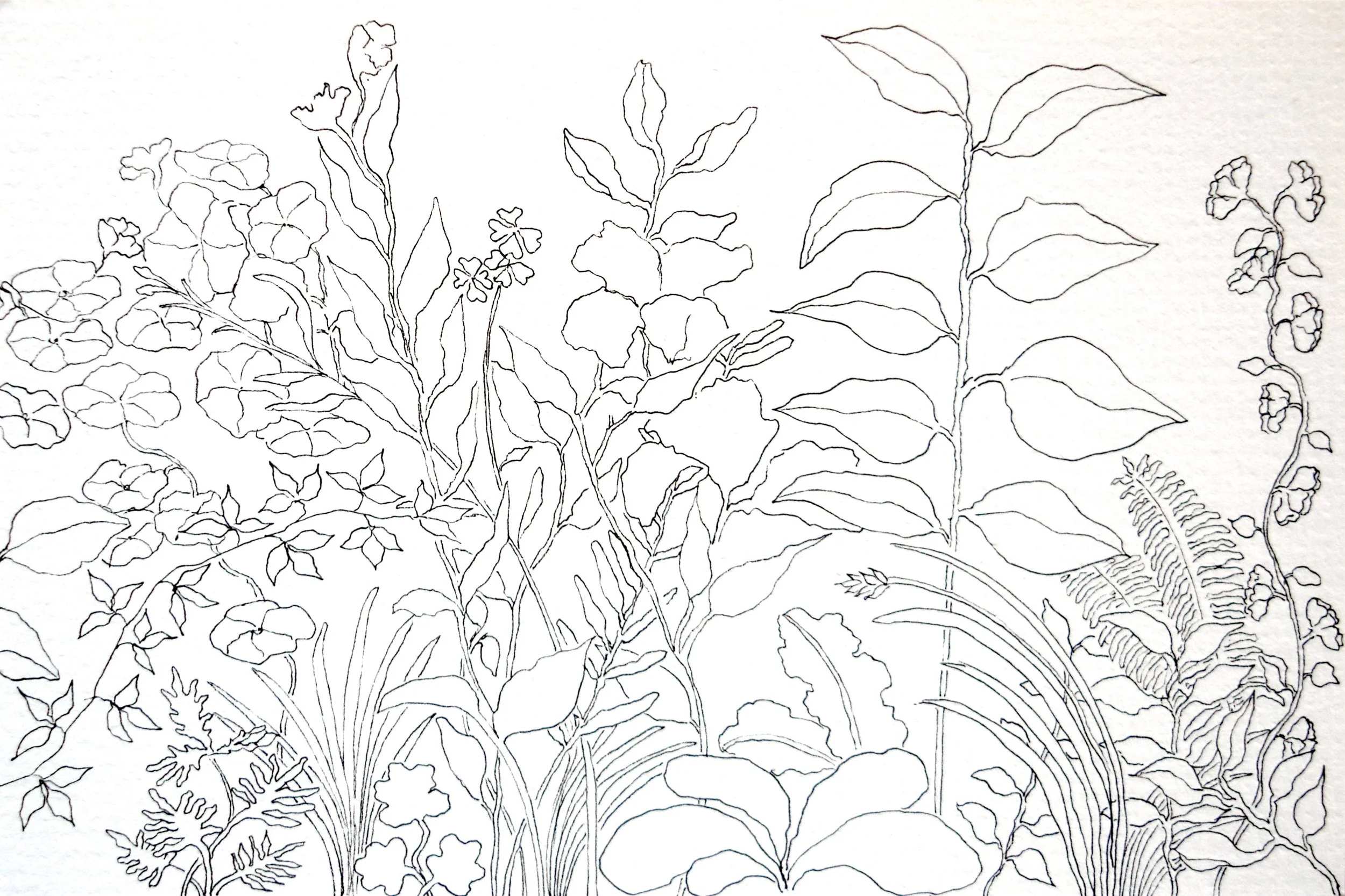 Mullein