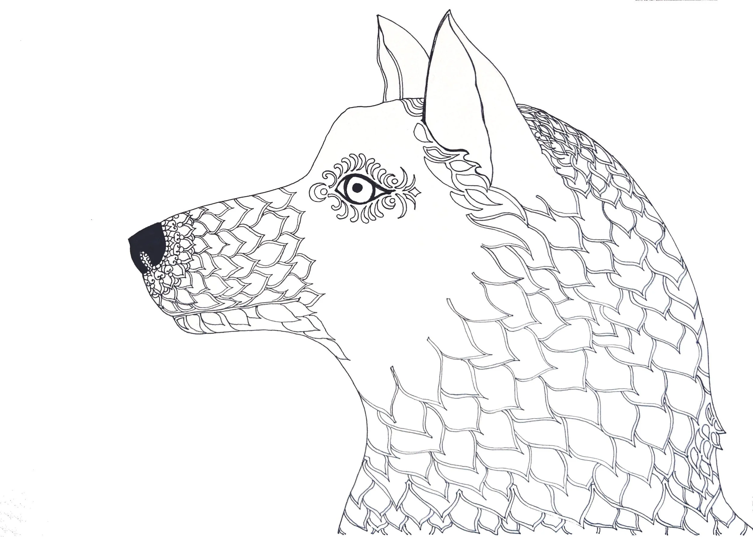 Dog