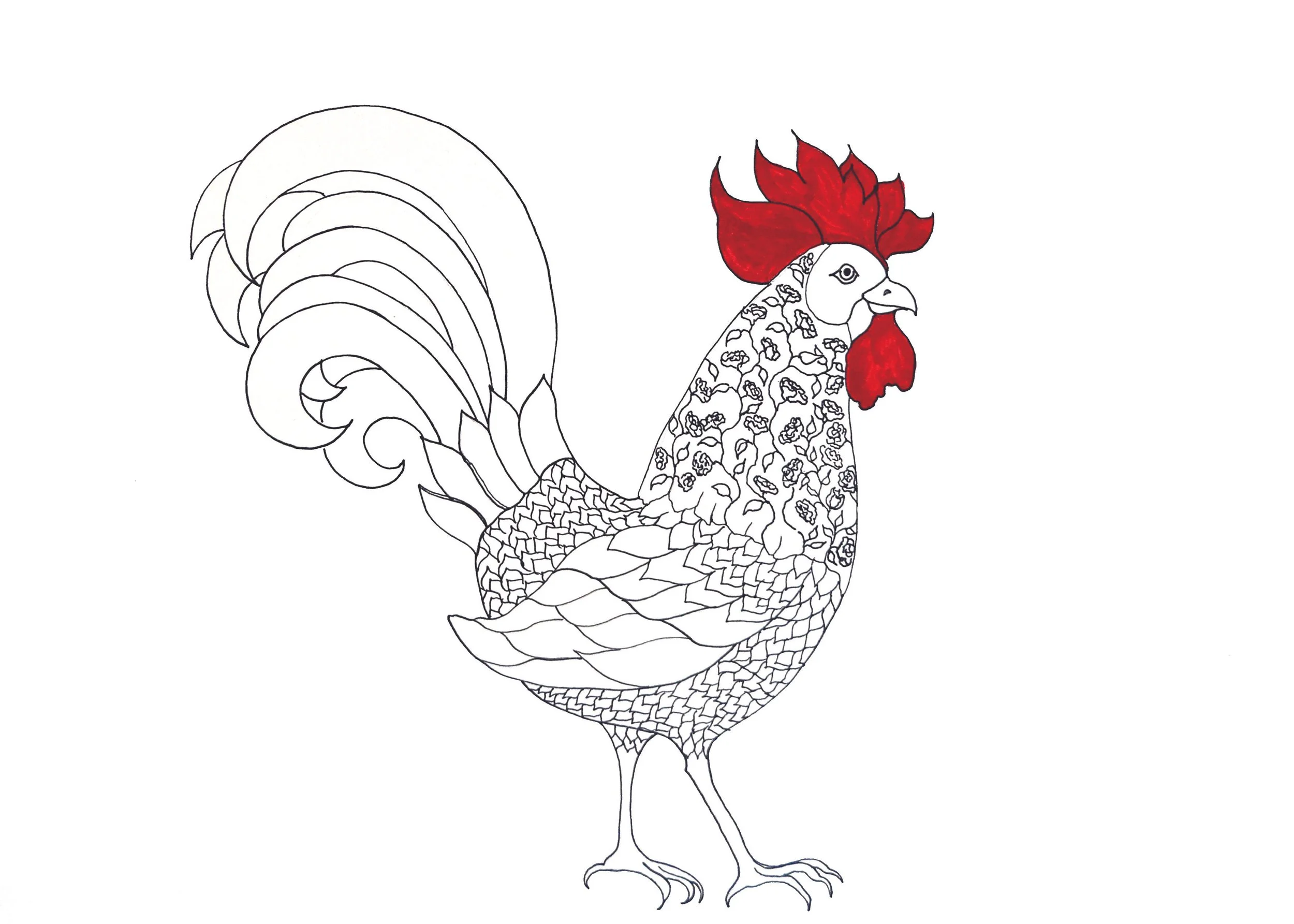 Rooster