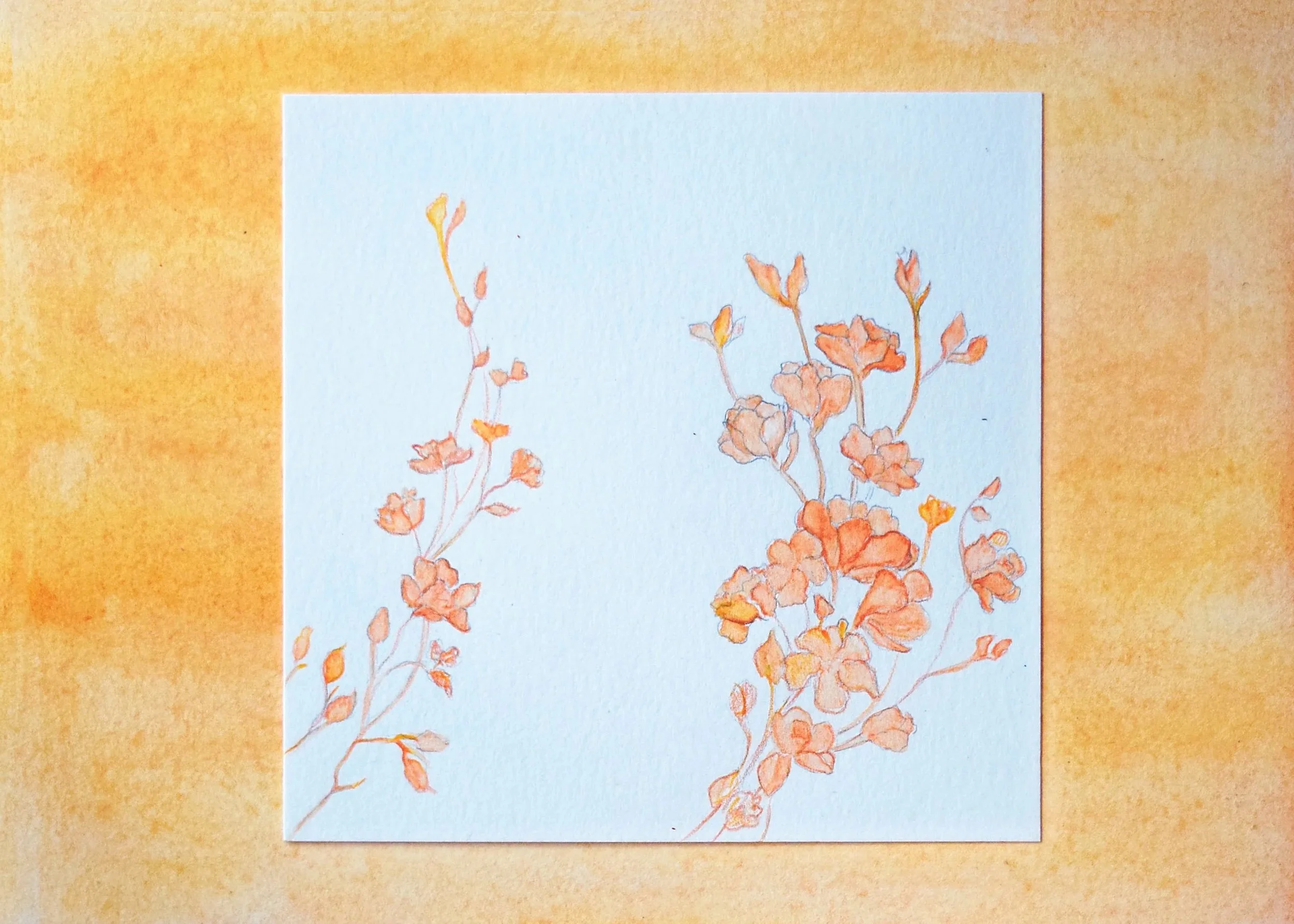 Orange Flowers