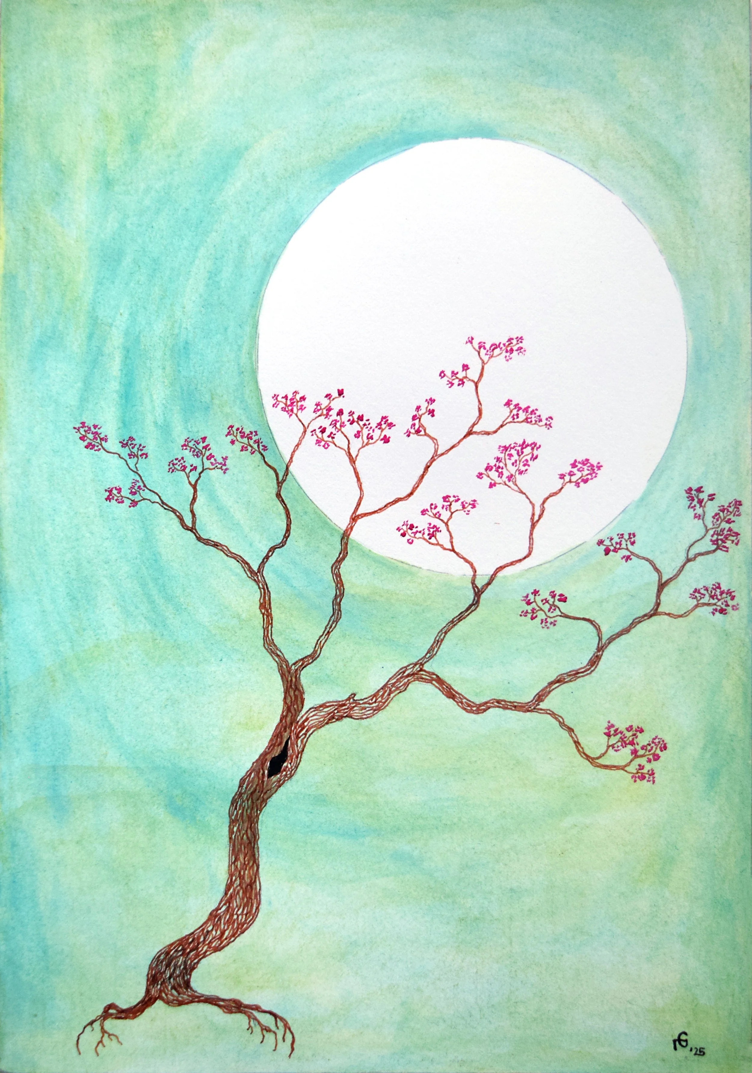 redmapleblooming.jpg