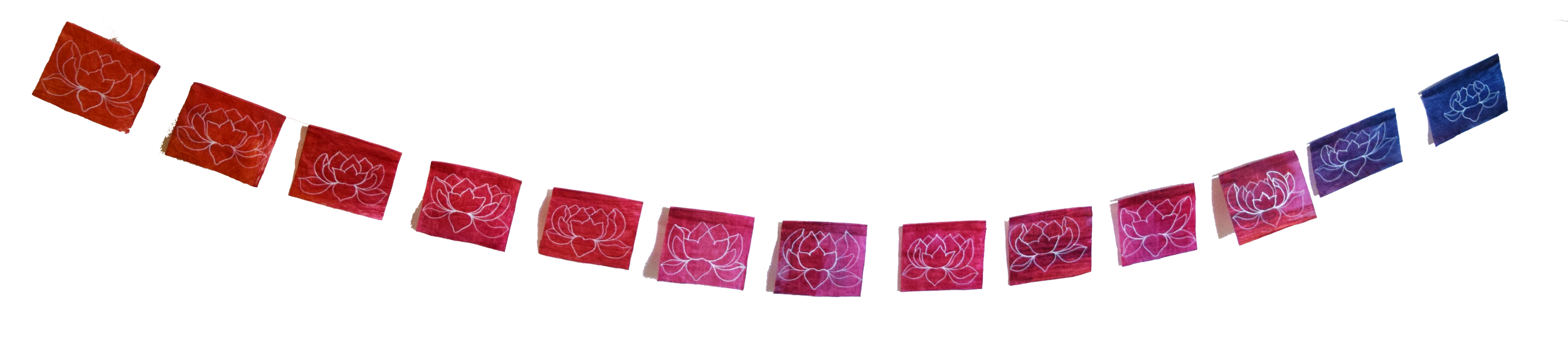 purplepinklotusflags-nobackground.png
