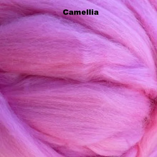camelia-corriedale.jpg