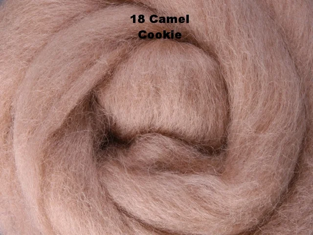 c018_camel.jpg