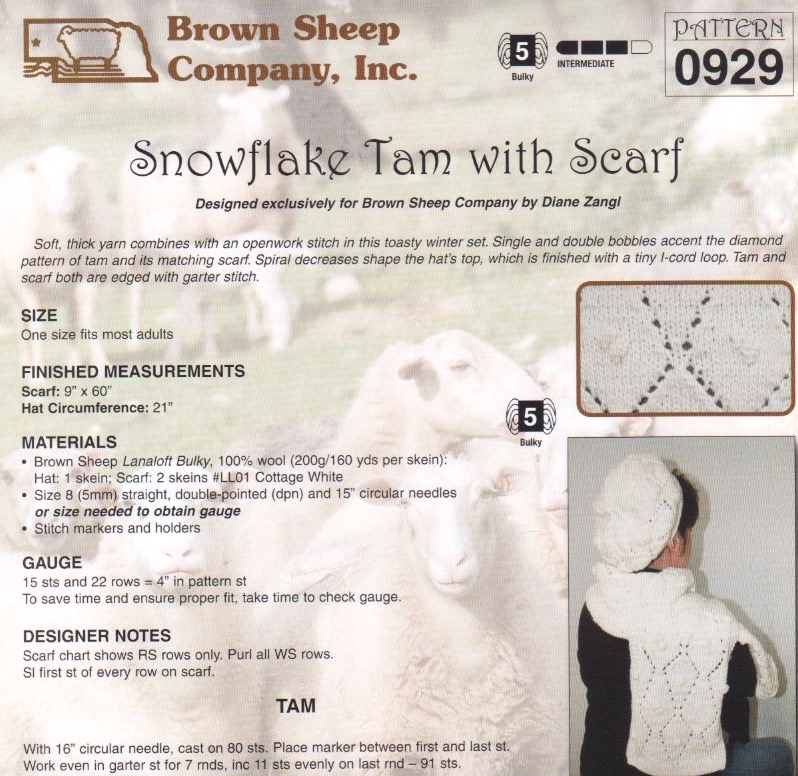BS Snowflake Tam Scarf 0929 copy.jpeg