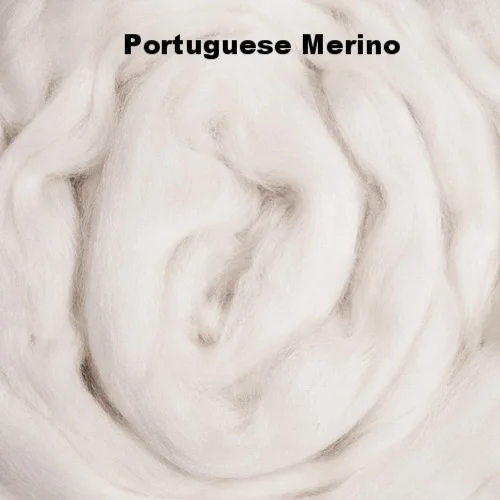Portuguese merino.jpg
