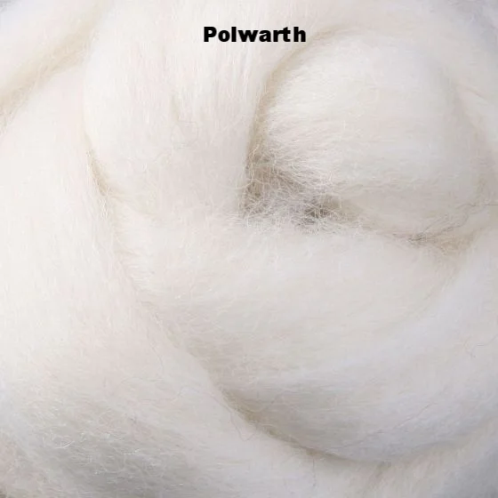 Polwarth Wool