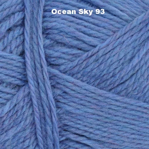brown-sheep-lambs-pride-superwash-ocean-sky-93