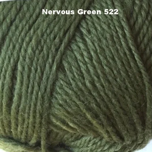 Brown Sheep Nature spun Worsted nervous green.jpg