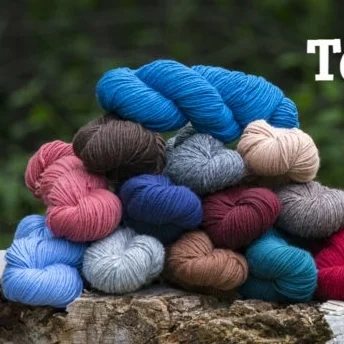 brown-sheep-top-lamb