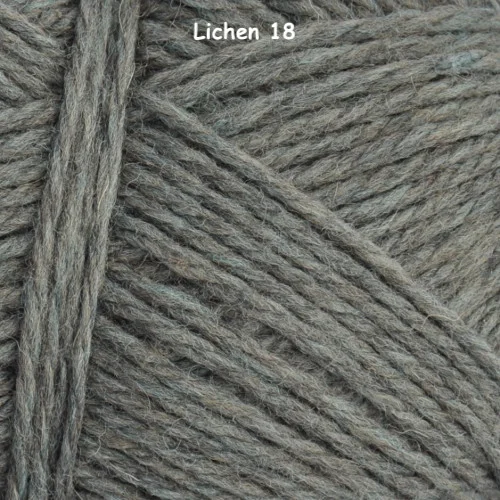 lichen-18.jpg