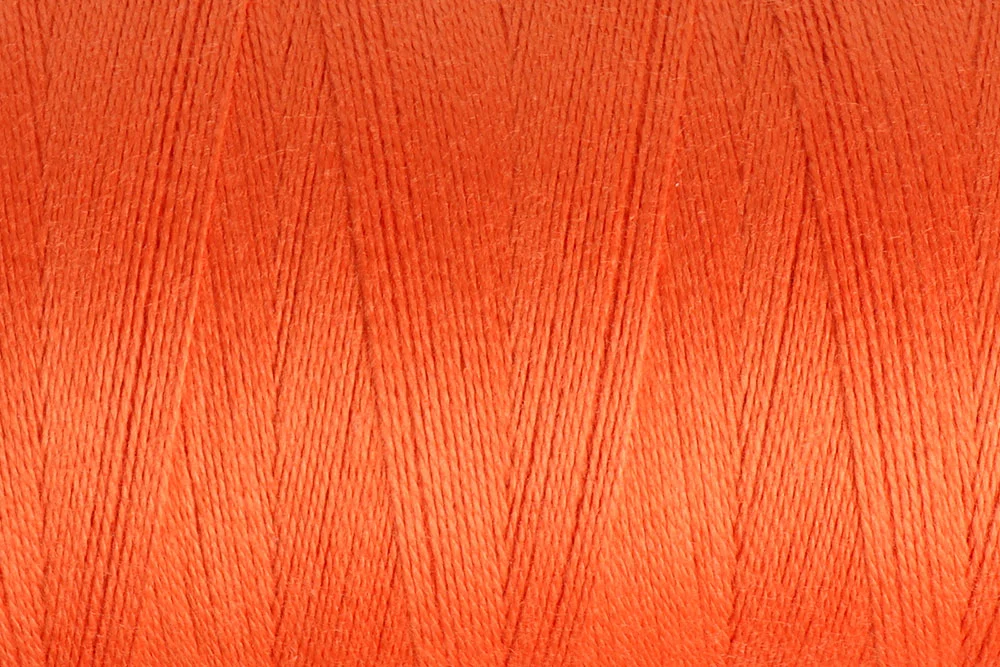 UMC850_Celosia_Orange.jpg