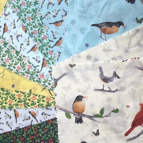 Clothworks FLIGHT OF FANCY 10" Bundle