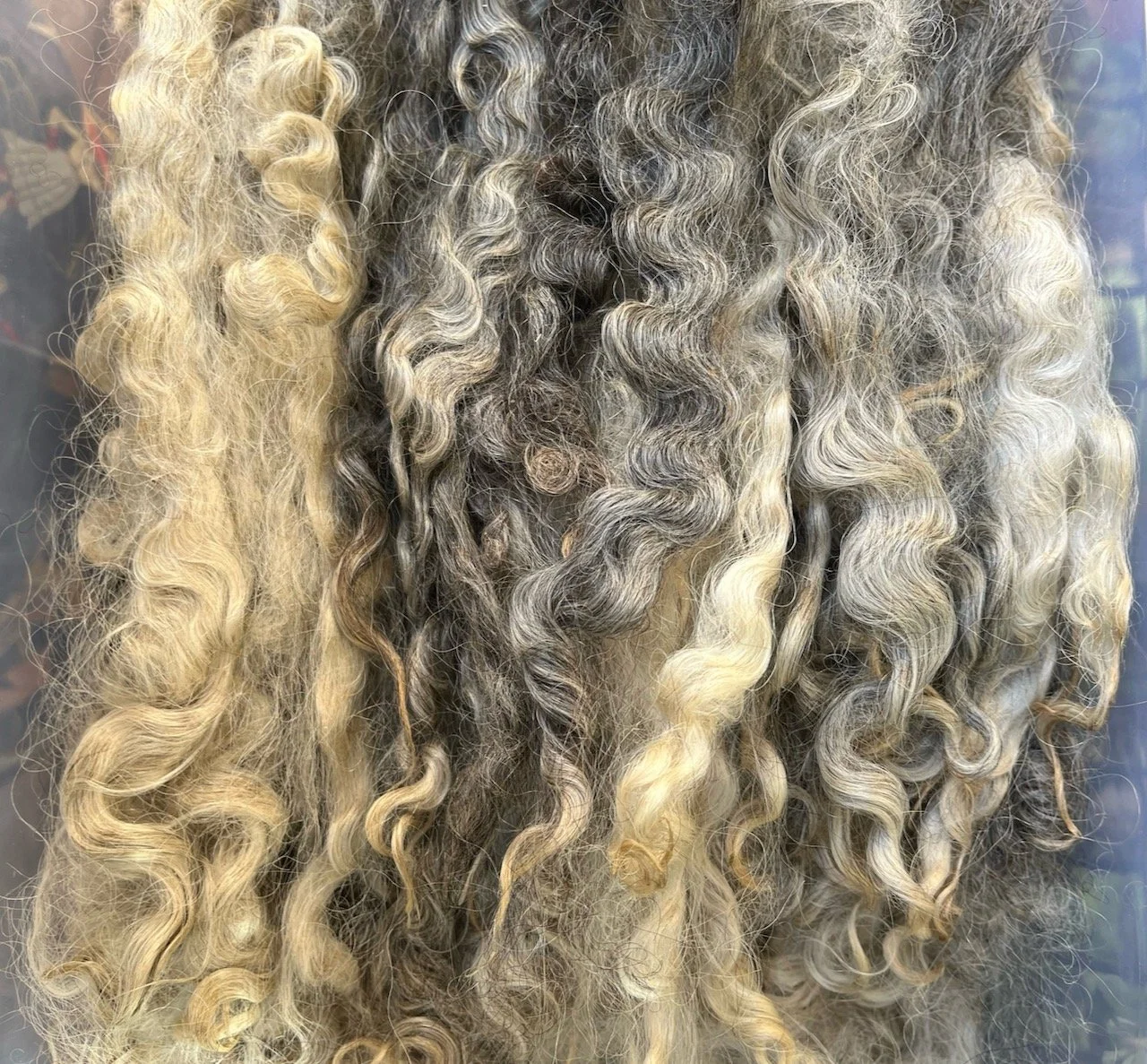 Lincoln Wool Locks - Natural Color