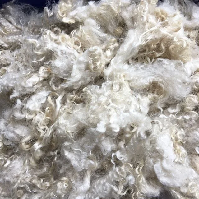 Washed Mohair Fleeces