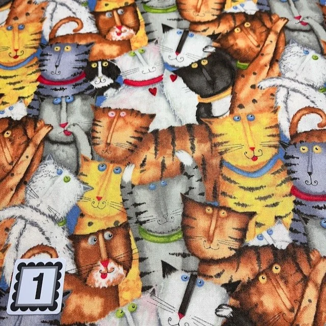 SPX Crazy Cats 2014 .jpeg