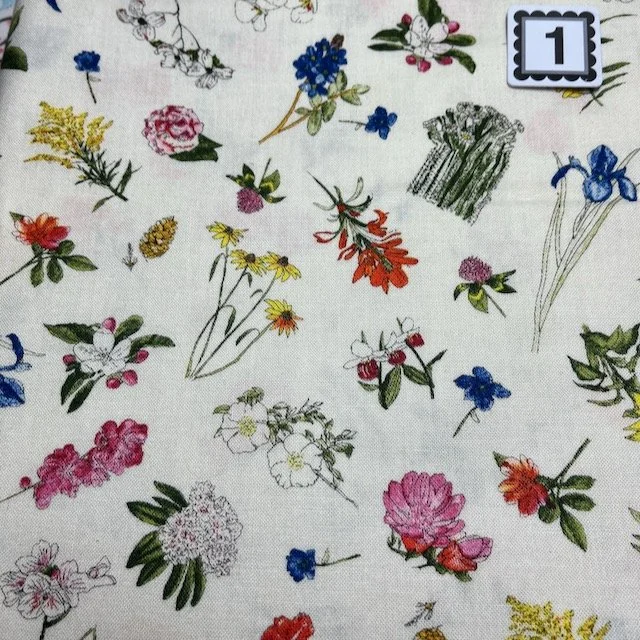 Moda 50 Nifty Flowering States .jpeg