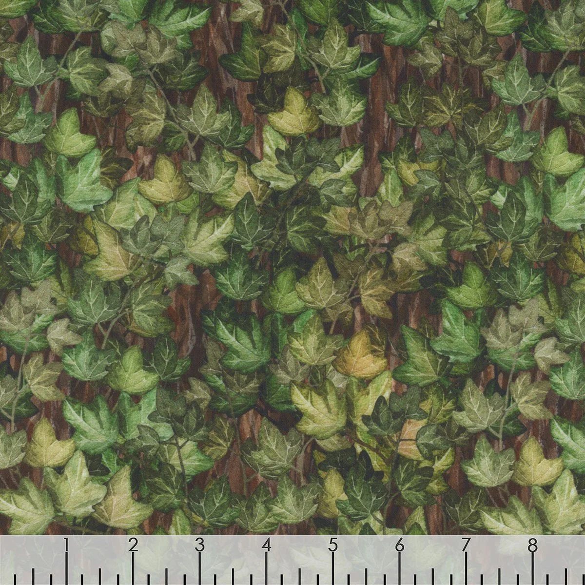 ITB BL 6 BL 1_main-2.jpg