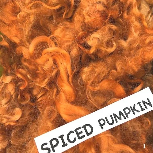 spice+pumpkin.jpg
