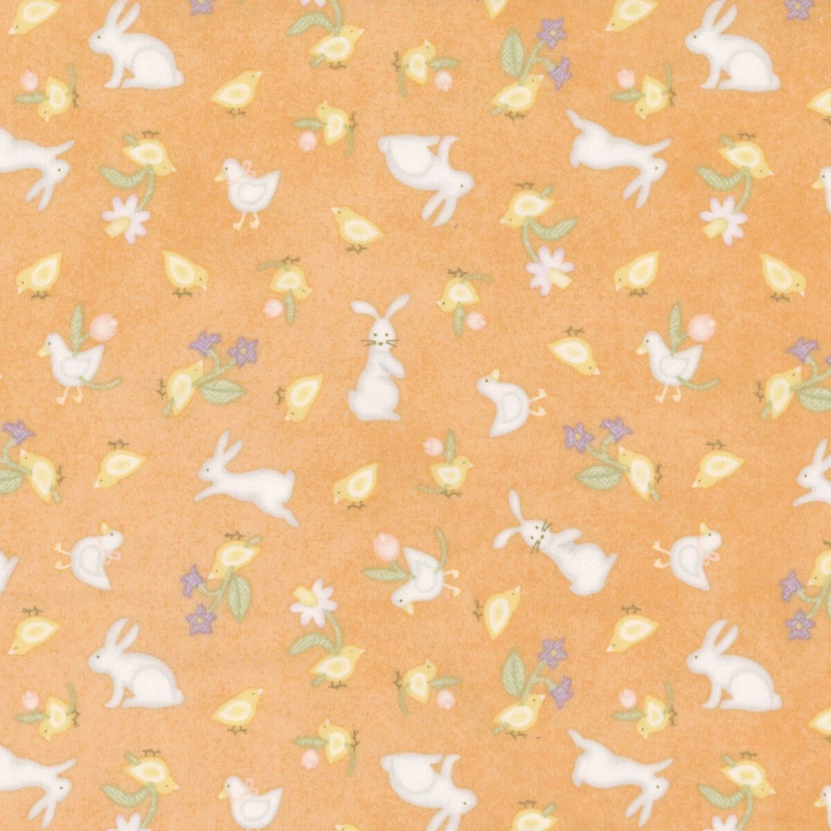 Little Chicks masf10563-O.jpg