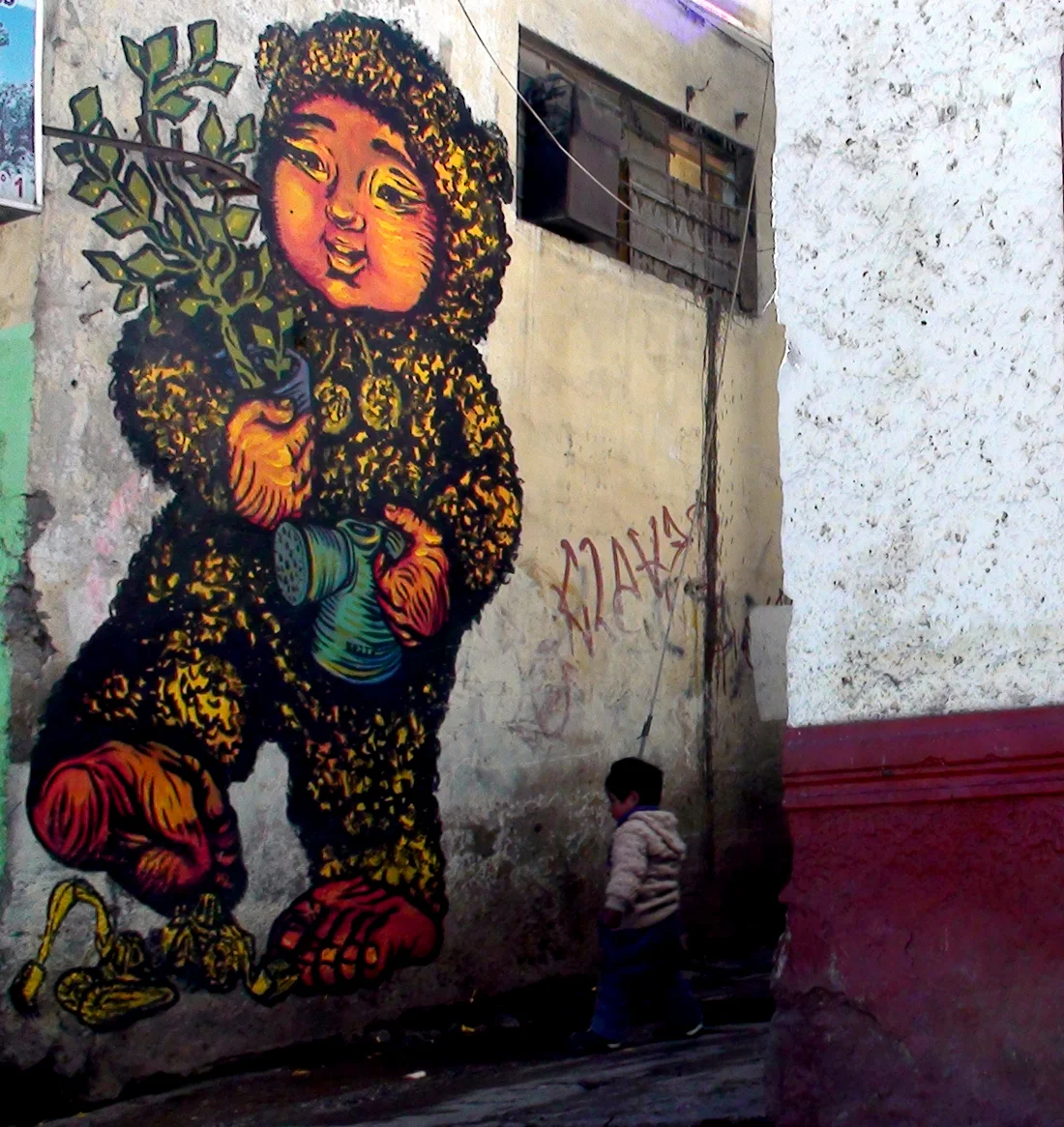 OJITOSEDCAPULI_CERRO_DE_PASCO_BASTARDILLA