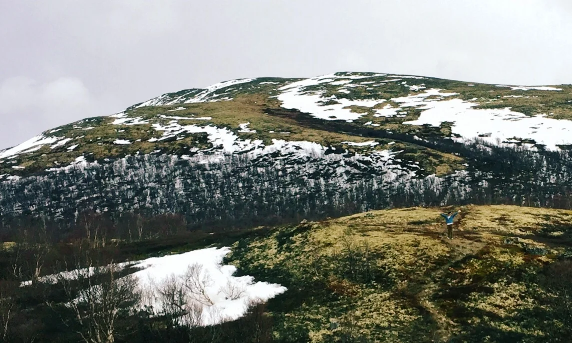 JPEG image-5D392B7A9AB4-1.jpeg