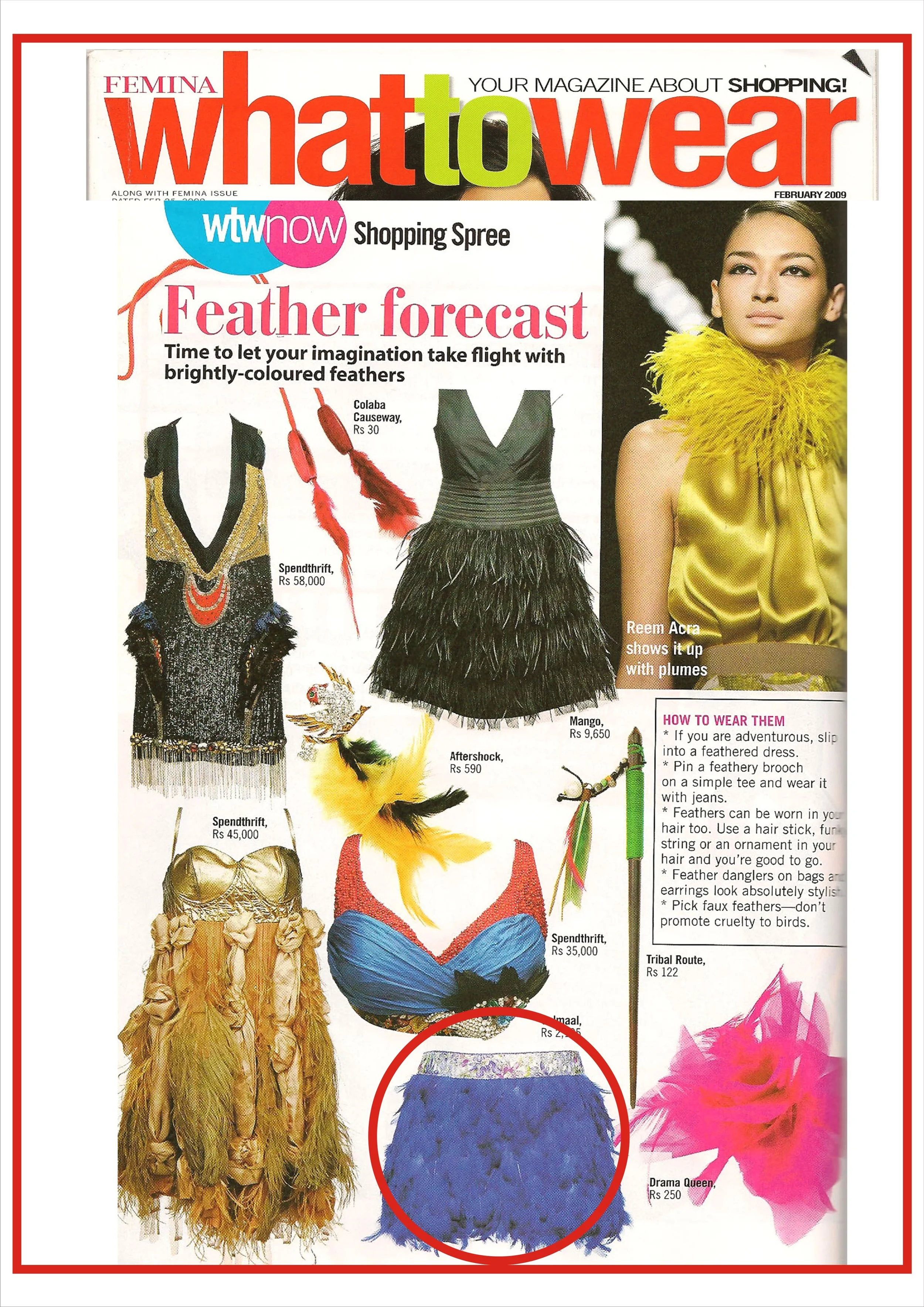 GOLMAAL IN FEMINA (WHAT TO WEAR) 