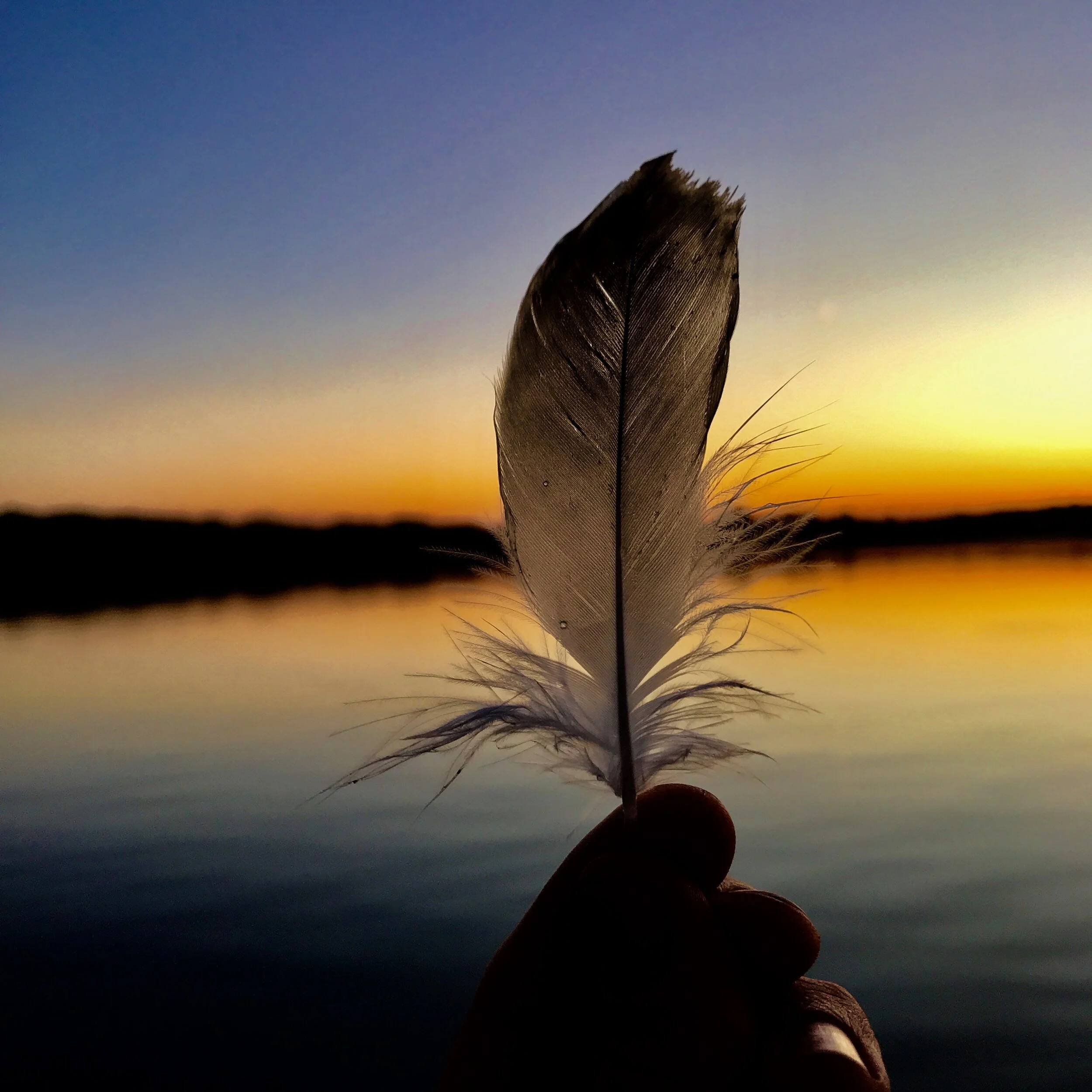 Yoga Minis | Baby Dogs