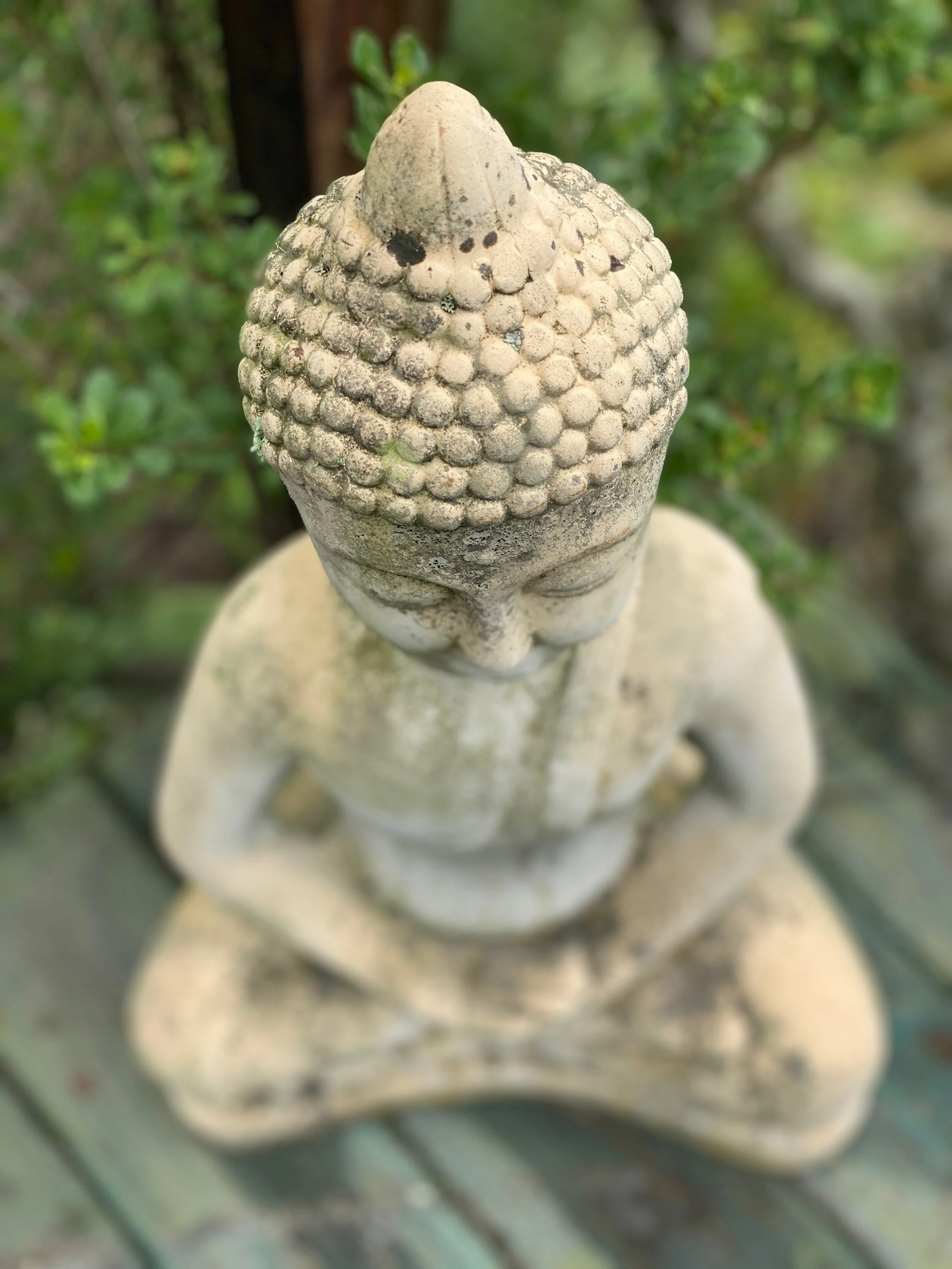 Yoga Minis | Rocking Lunges