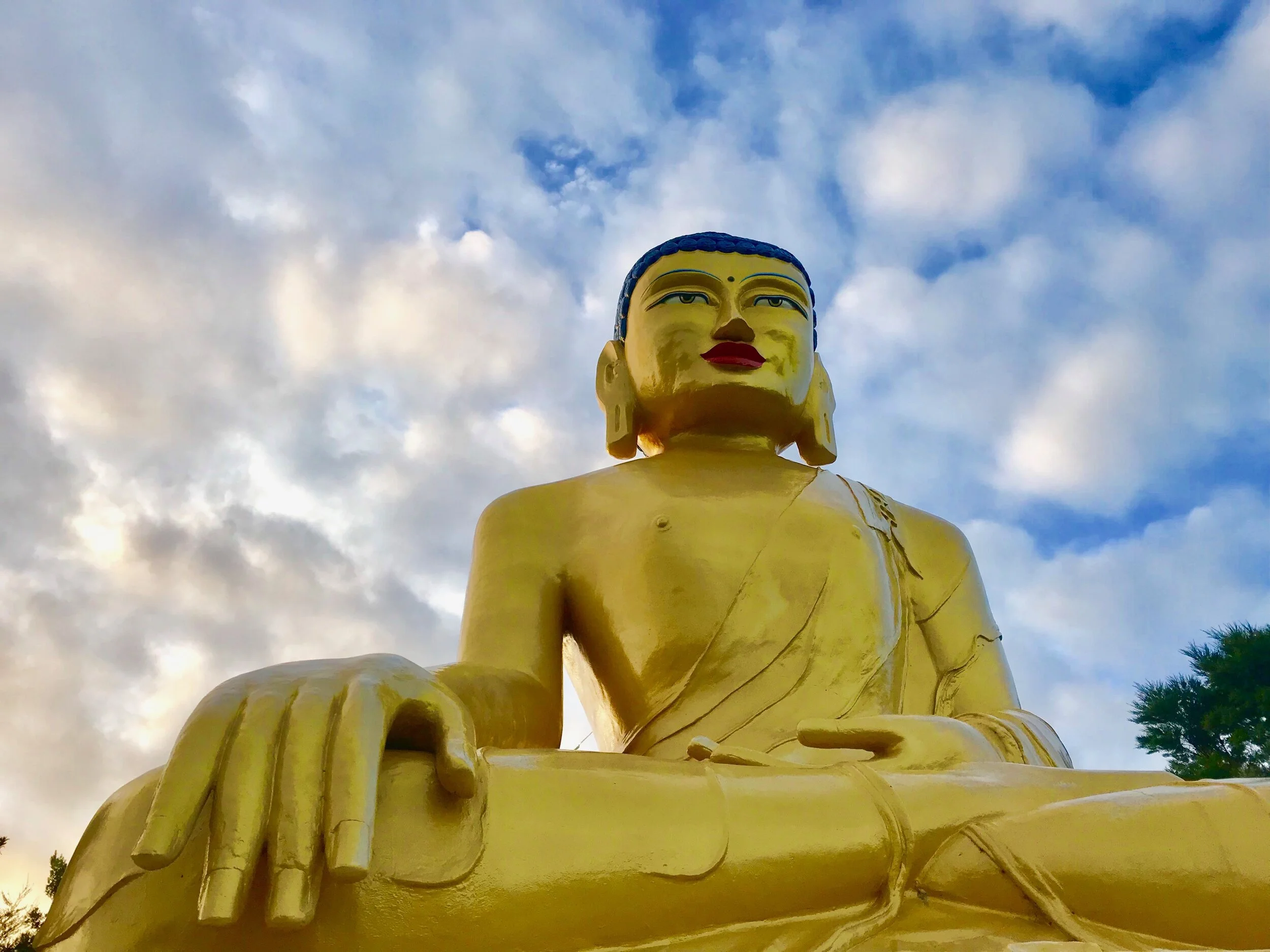 Yoga Minis | Hip Check 