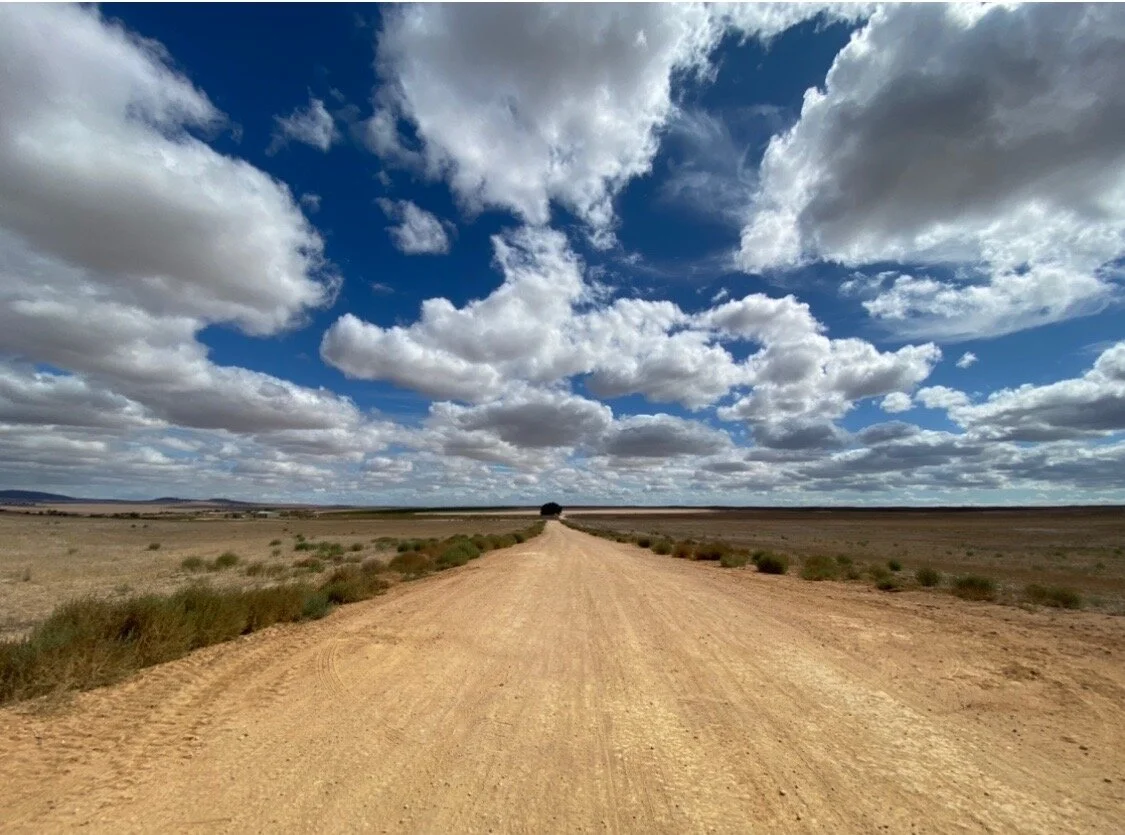 Vote with Your Dollars Everyday 