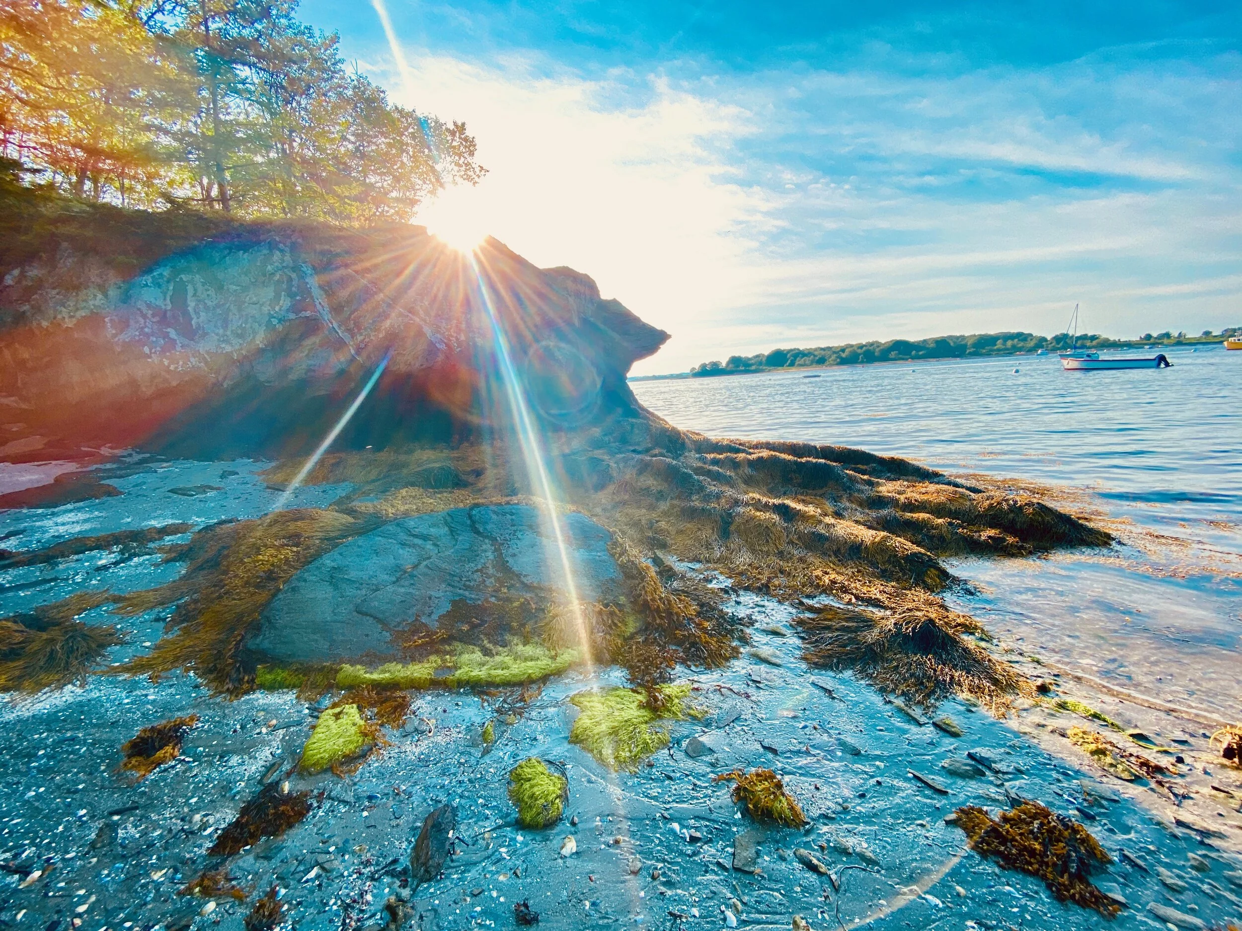 Yoga Minis | Dancing Dog