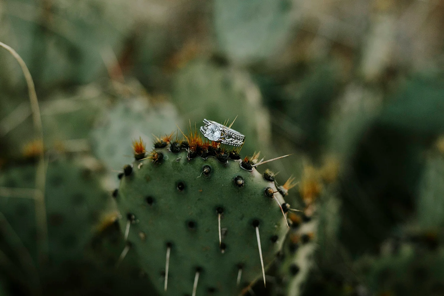 Doe-Mountain_Sedona-Arizona_Engagement-Photos_Frankely-Photography_0111.jpg
