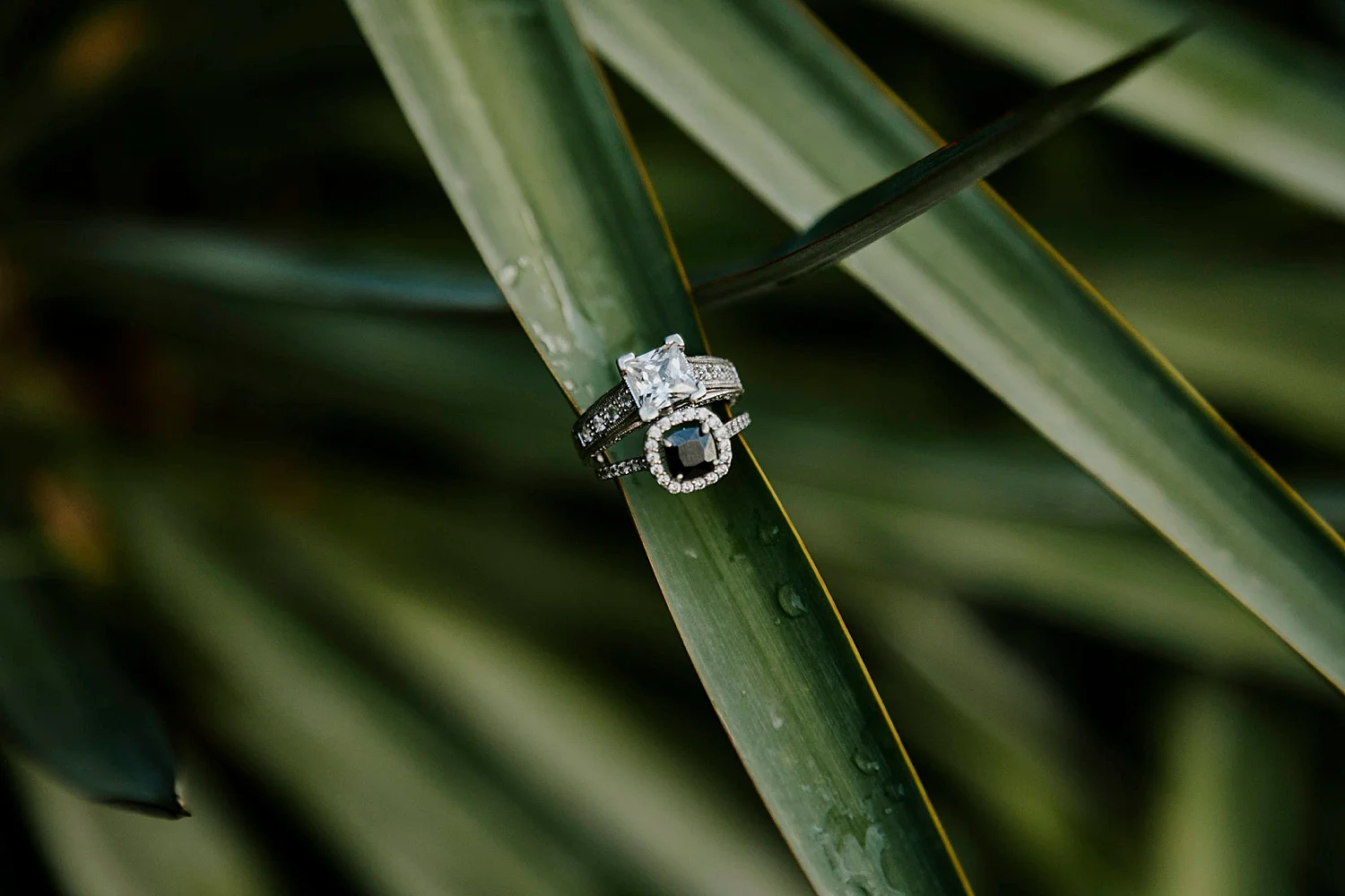 Orchard-Inn _Sedona-Arizona_Engagement-Photos_Frankely-Photography_0061.jpg