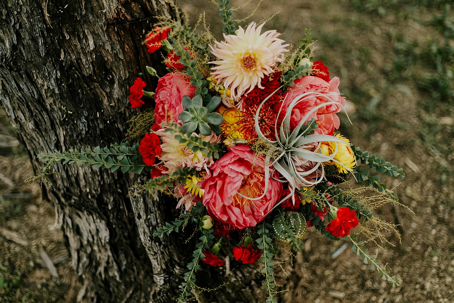 Coon-Bluff_Mesa-Arizona-Wedding_Frankely-Photography_0187.jpg
