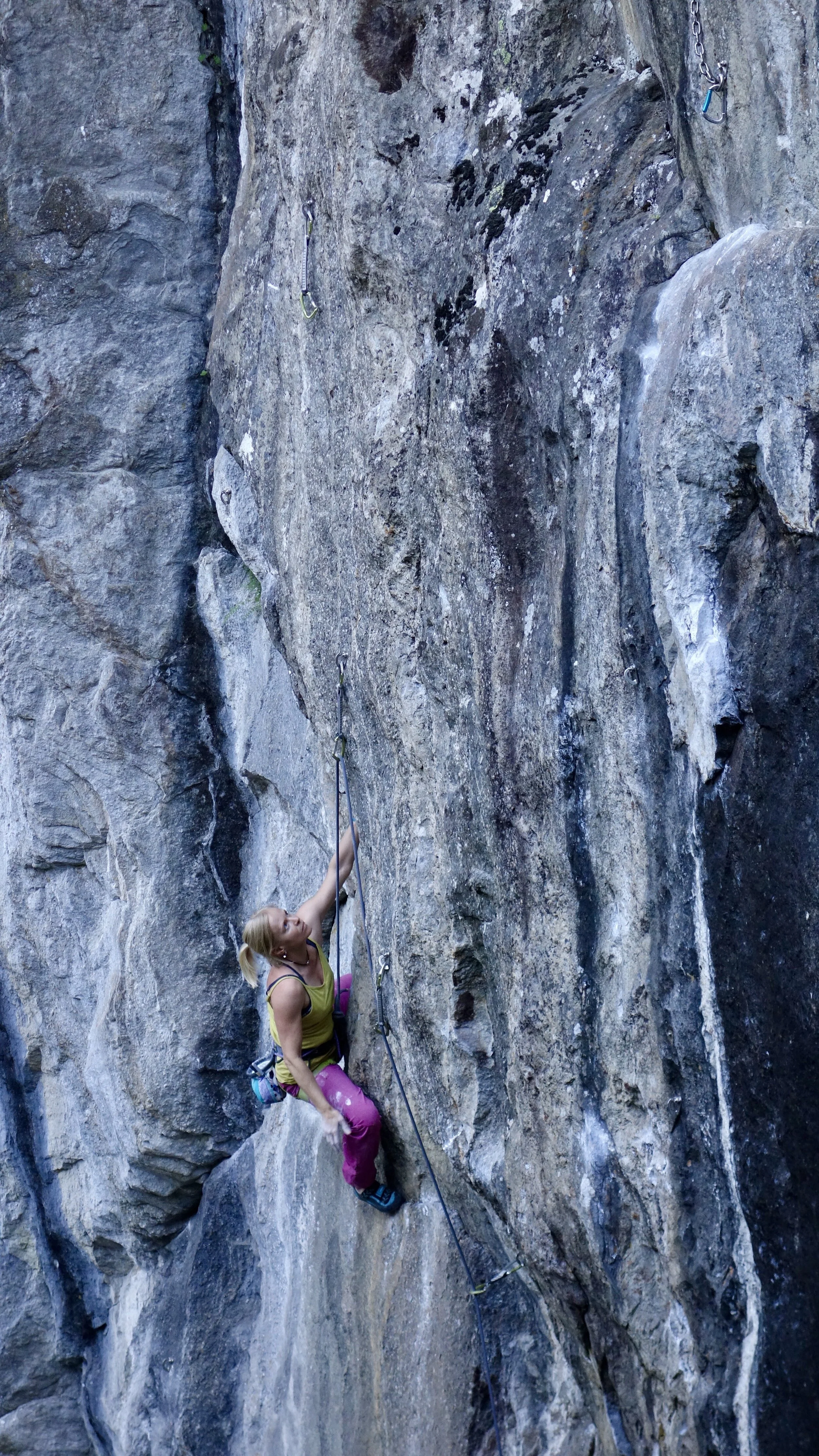 Photo_Anne Holmes.jpeg