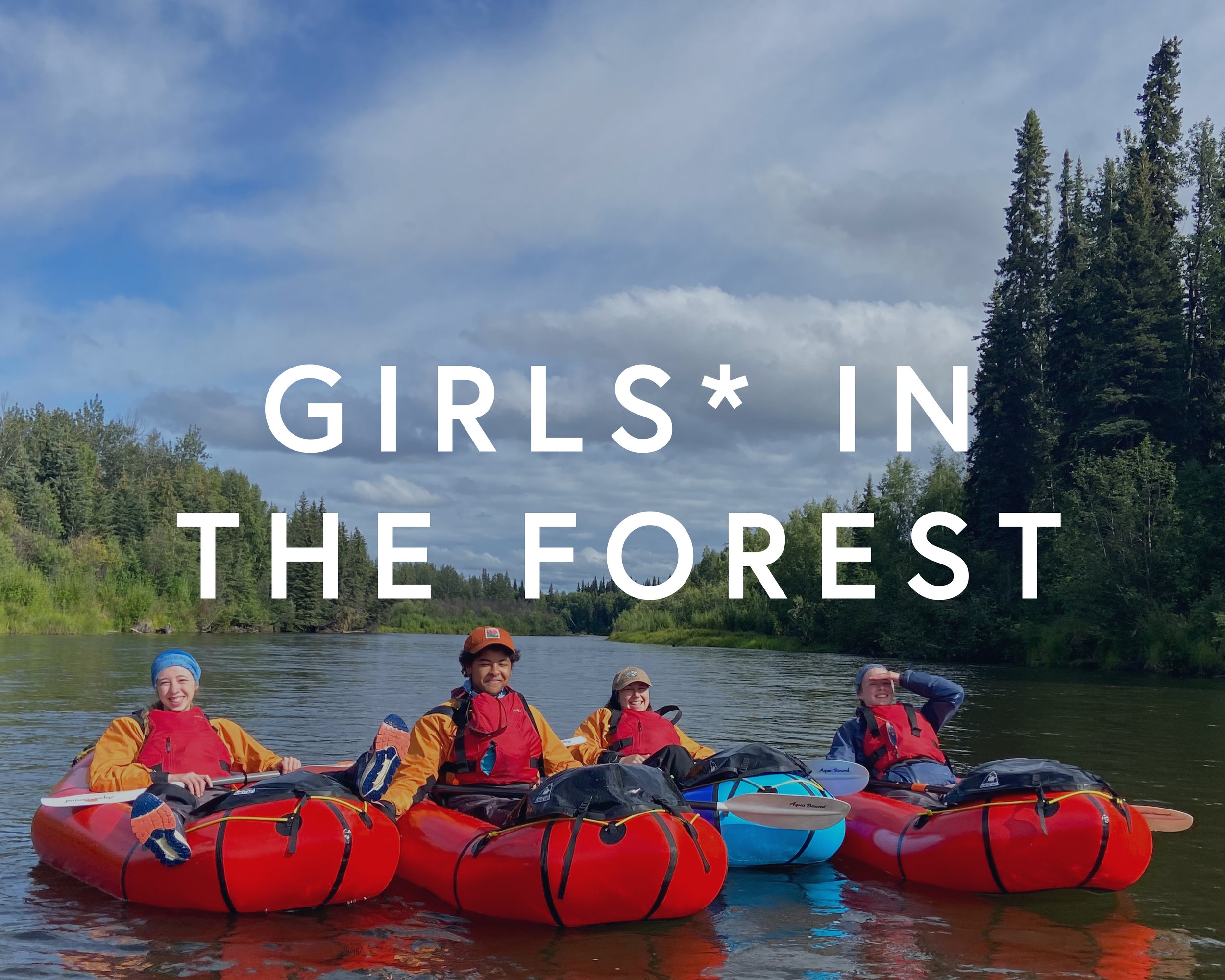 Image links to the Girls* in the Forest expedition page