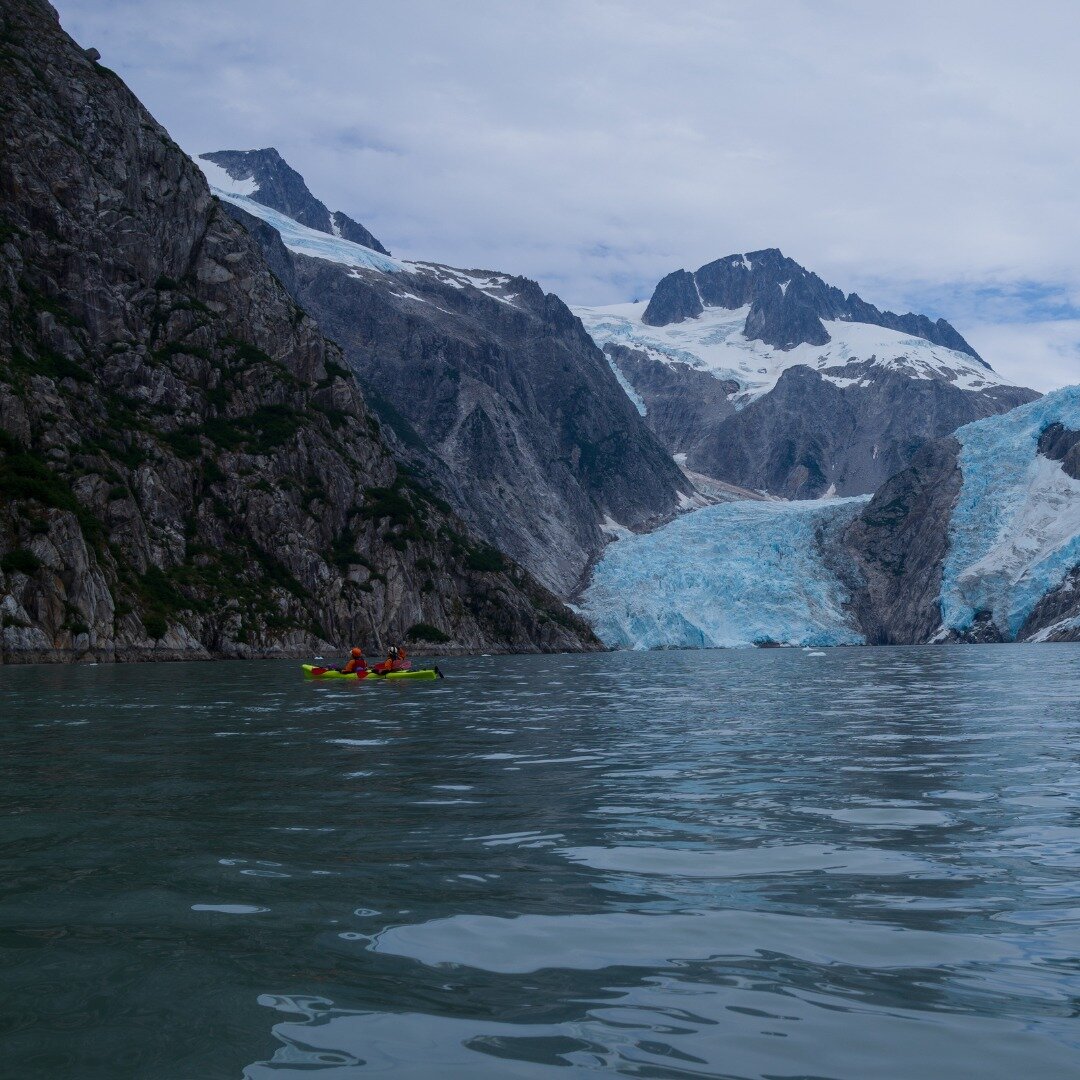 Today we're spotlighting our Girls* in Icy Fjords expedition, hosted by @inspiringgirls_pnw! 🛶
--
During this sea kayaking expedition, we travel to Seward, Alaska, and explore Northwestern Fjord and the surrounding marine environment. Led by a sea k