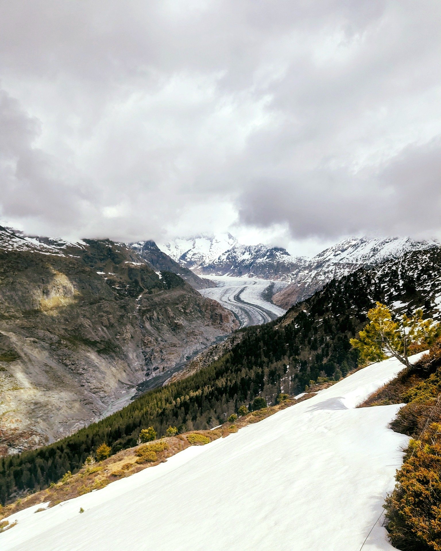 Impressions from our Girls* on Ice Switzerland school excursion to Aletsch glacier. Led by a scientist and an Alumna, we offer workshops in schools and excursions to glaciers. If you are interested, contact schoolactivities@inspiringgirls.org.