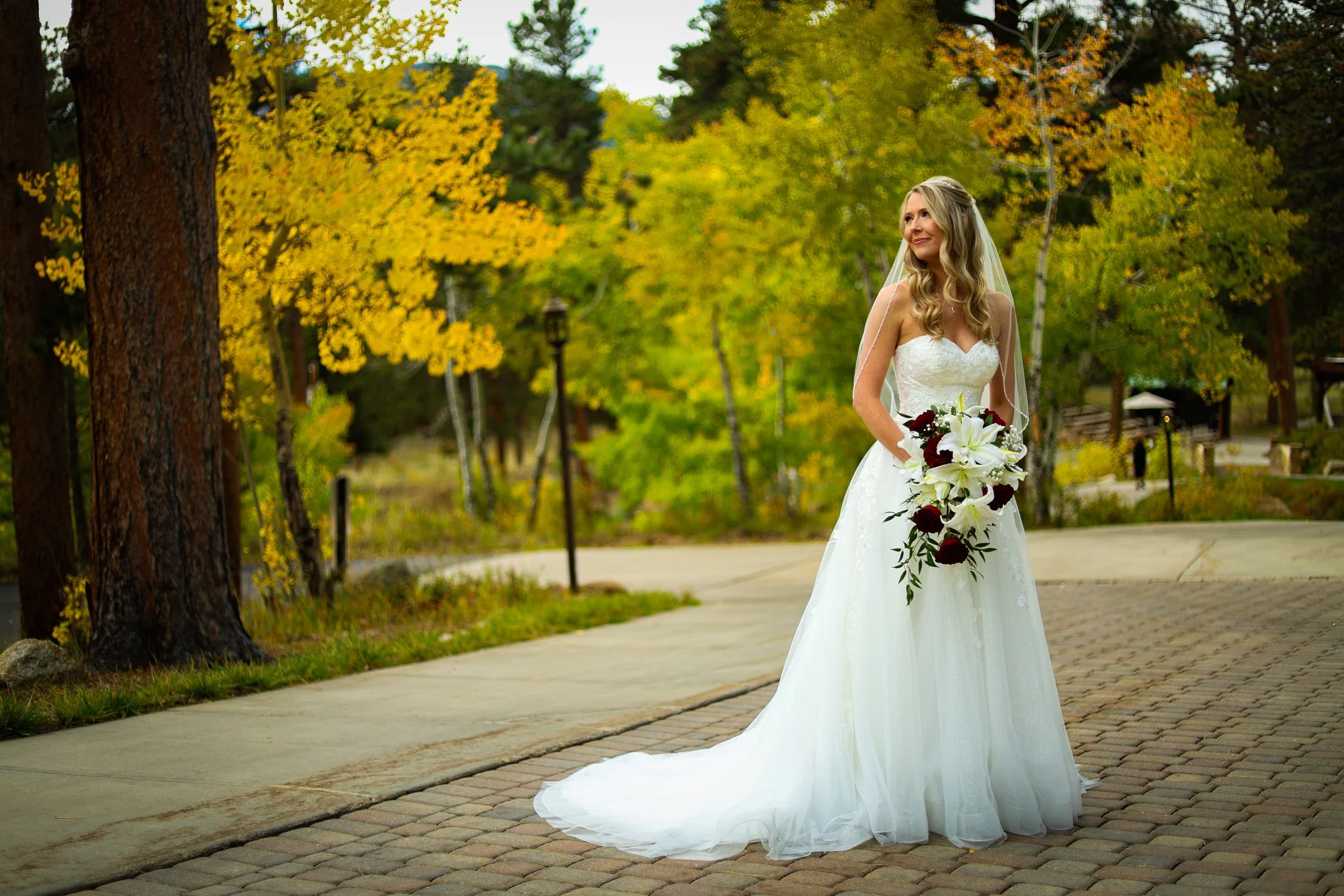Ponderosa - Wedding Highlights Video Package (Priced at 8 hours)