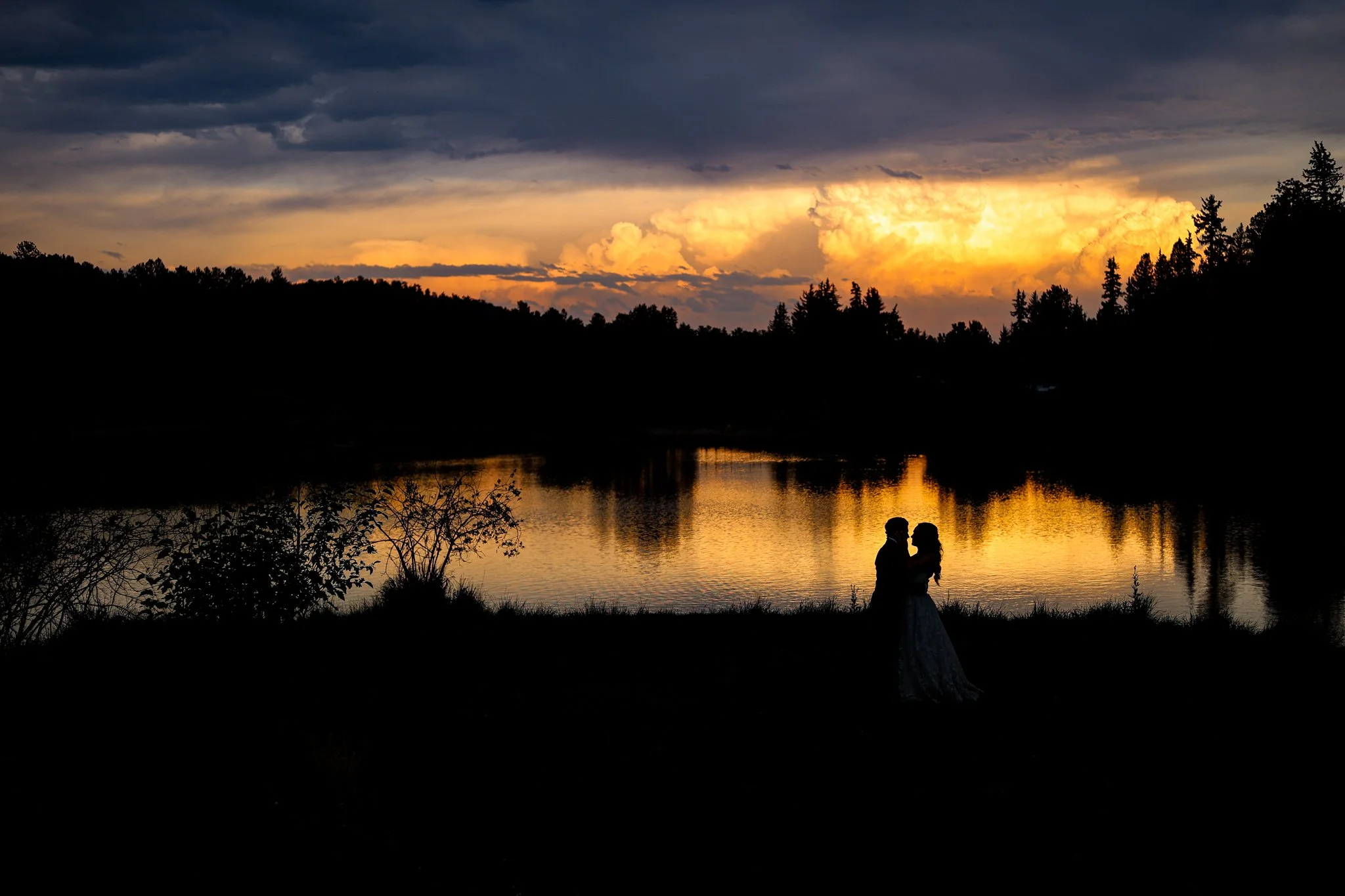 Douglas-fir - Wedding Highlights Video Package (Priced at 8 hour booking)