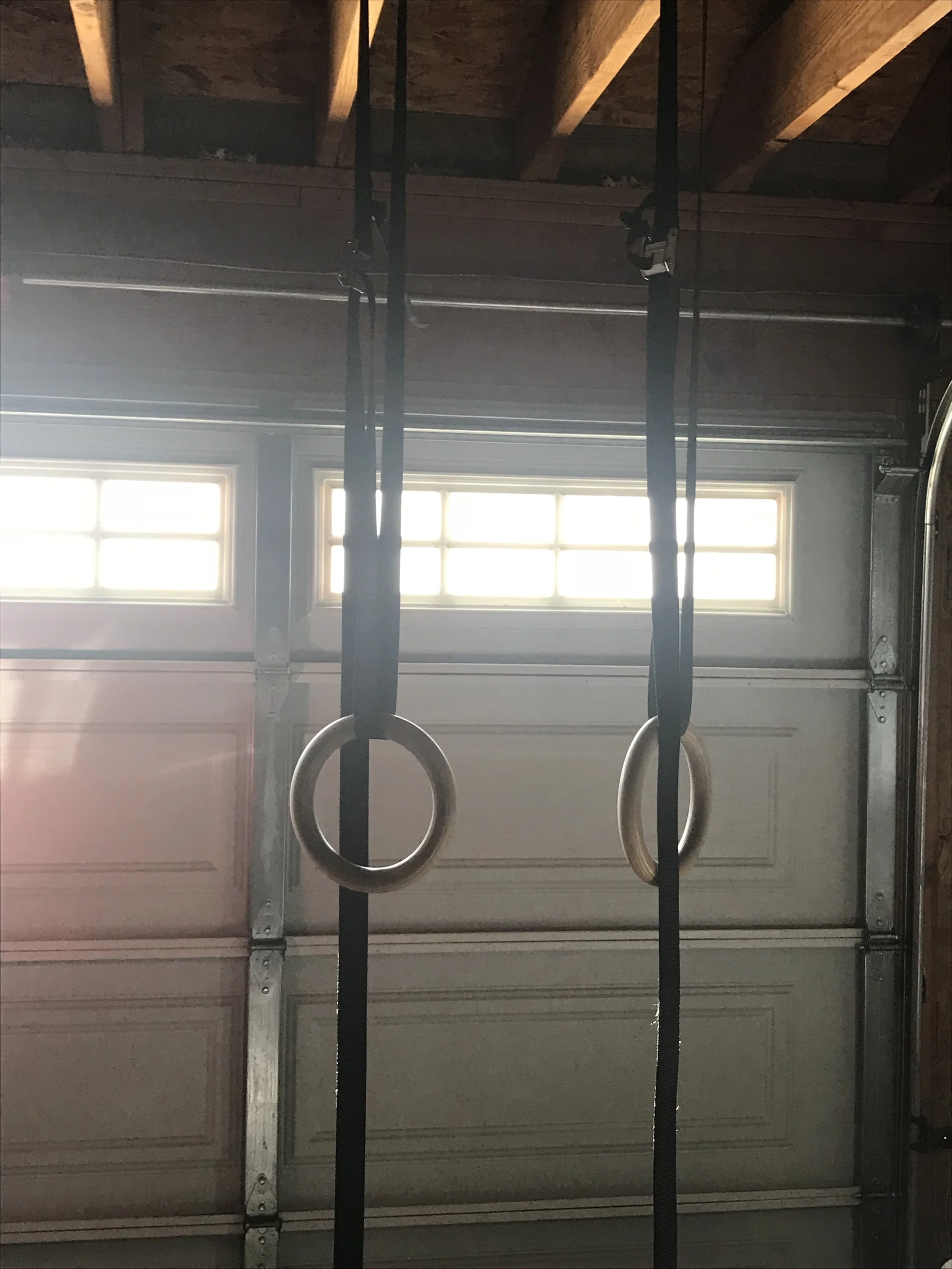 Individuation Part 2- The Aiming Creature