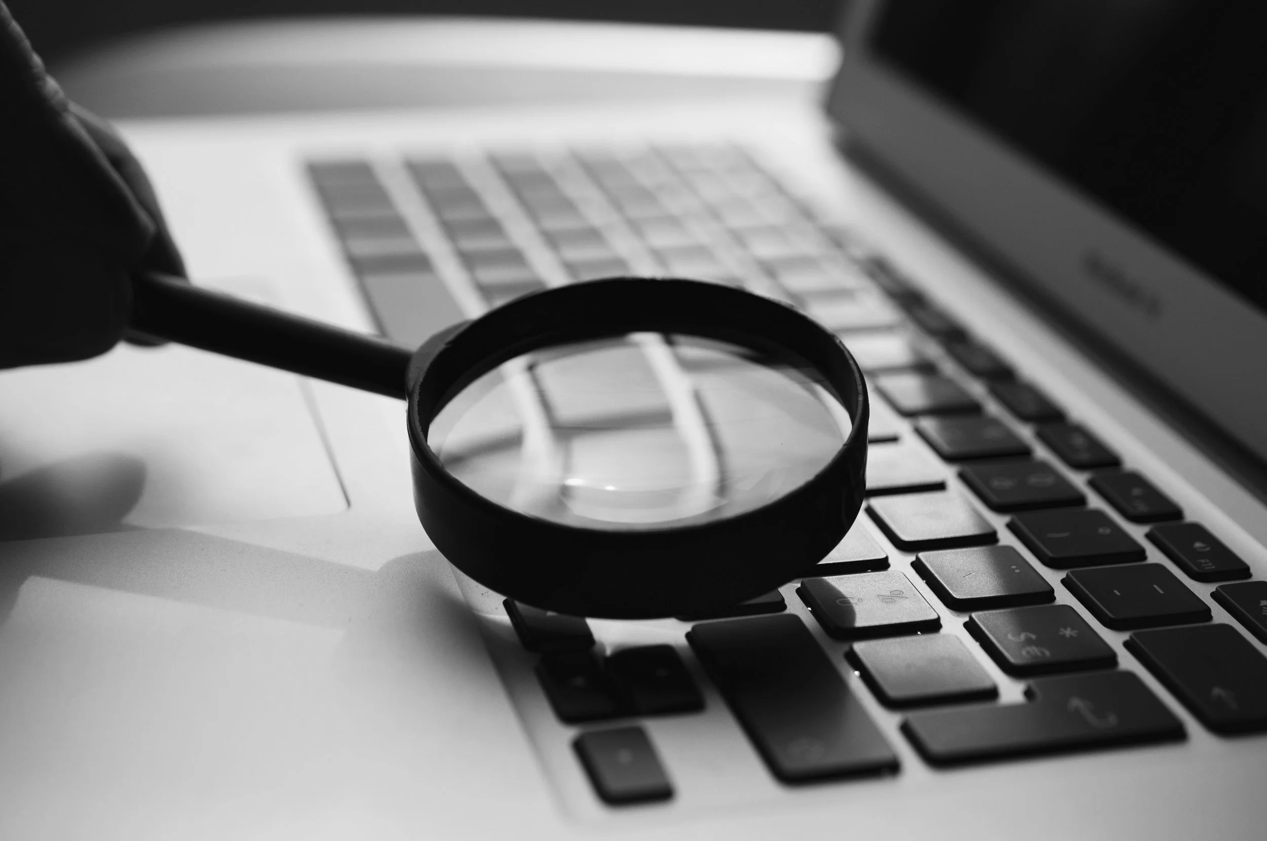 search - 1.jpg