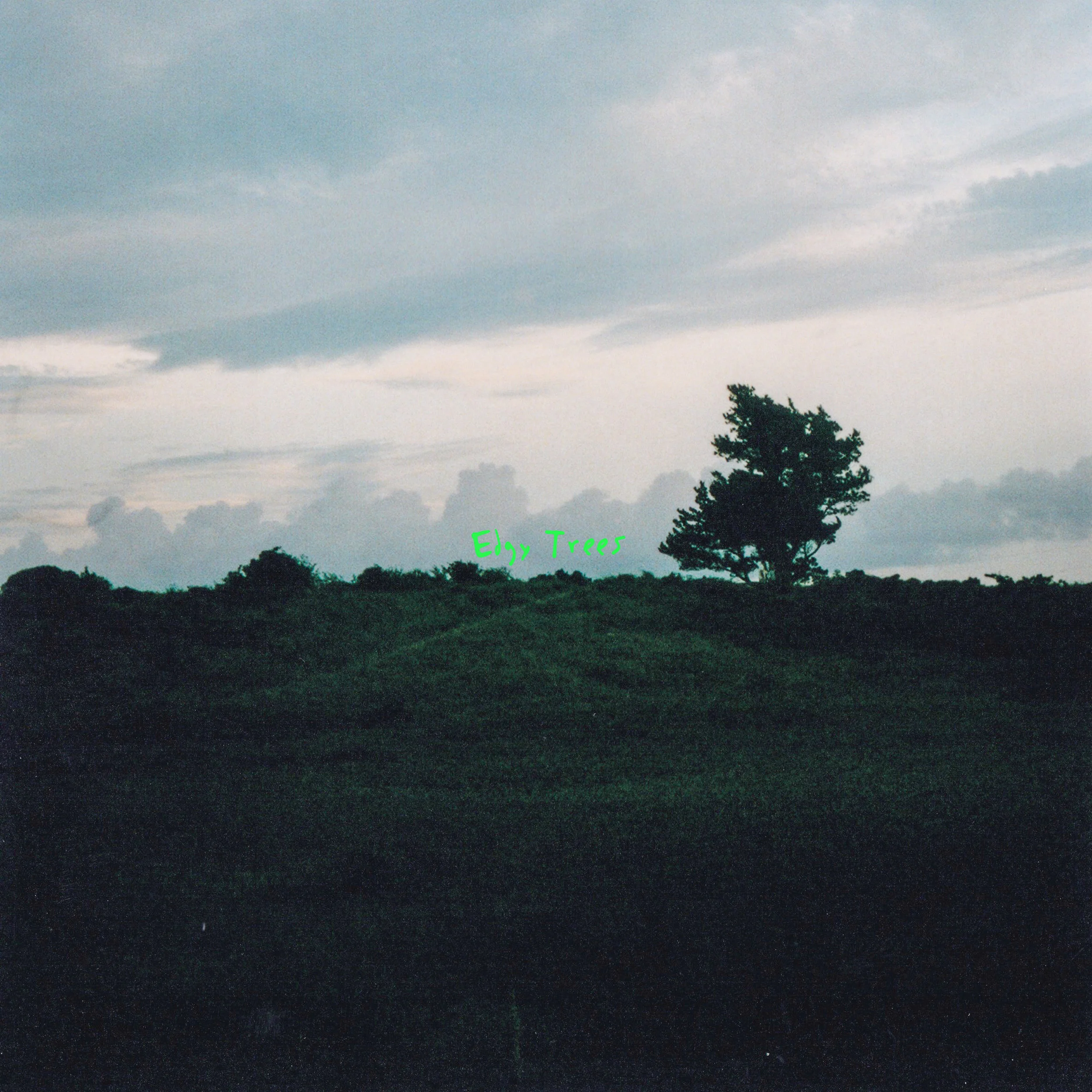 Edgy Trees EP