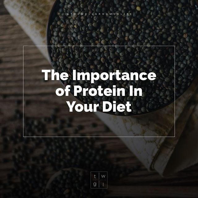 [Wellness Wednesday // The Importance of Protein In Your Diet]
⊙ 
Did you know that your organs, tissues, muscles and hormones are all made from proteins? The protein found in foods is used by every part of the body to develop, grow and function prop