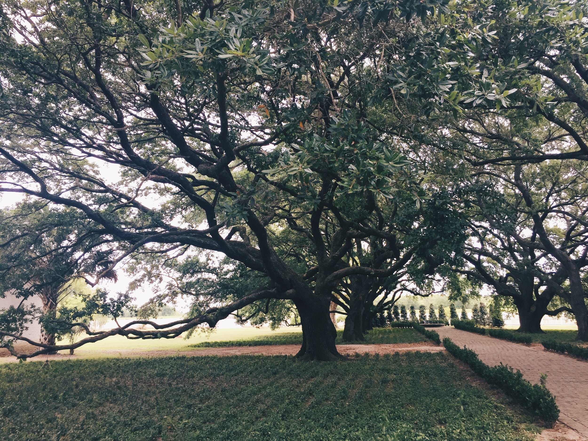 6 Places to Explore African American History & Culture
