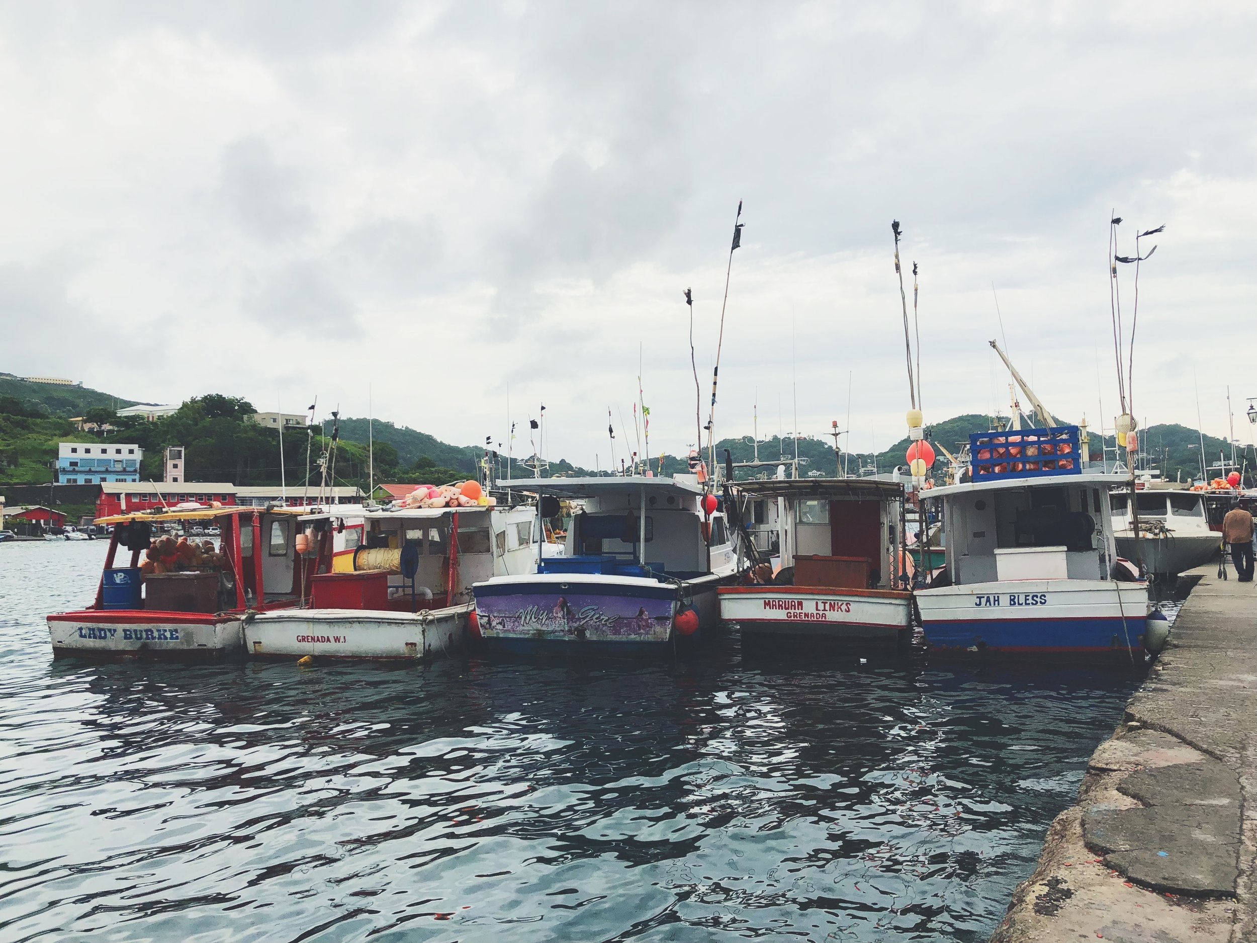 11 Fun Things to Do in Grenada